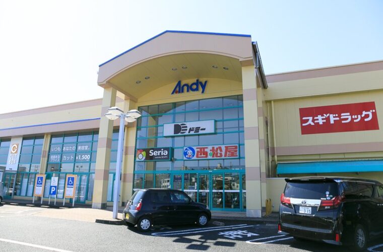 ドミー新安城店